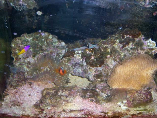 Name:  100_3837.jpg
Views: 252
Size:  58.2 KB