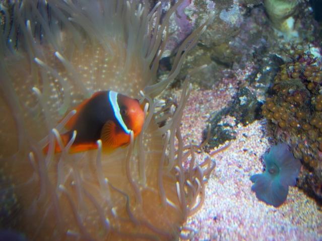 Name:  100_3839.jpg
Views: 260
Size:  44.2 KB