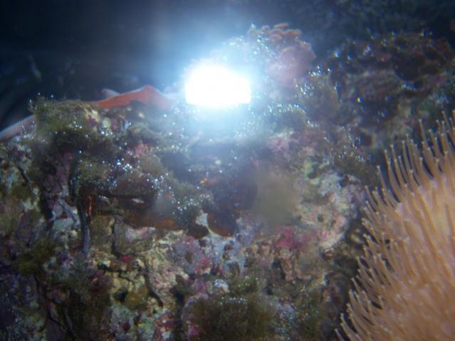 Name:  100_3842.jpg
Views: 263
Size:  39.3 KB