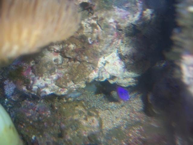 Name:  100_3844.jpg
Views: 251
Size:  34.1 KB