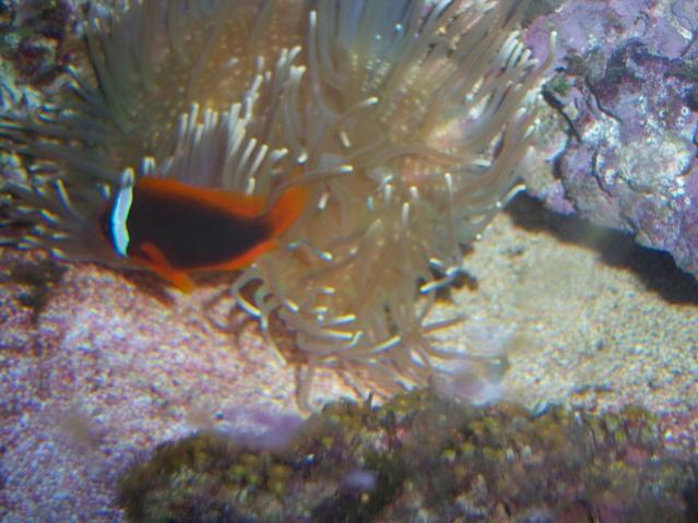 Name:  100_3848.jpg
Views: 247
Size:  46.2 KB