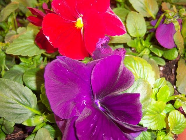 Name:  100_3851.jpg
Views: 254
Size:  51.0 KB