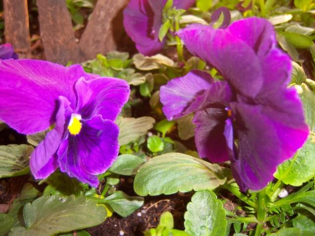 Name:  100_3855.jpg
Views: 251
Size:  51.7 KB