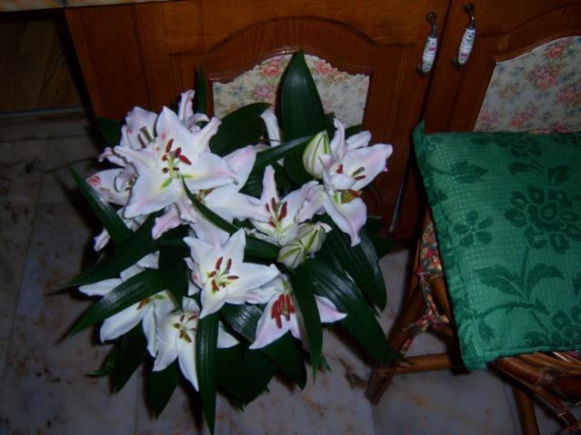 Name:  100_3856.jpg
Views: 253
Size:  40.5 KB