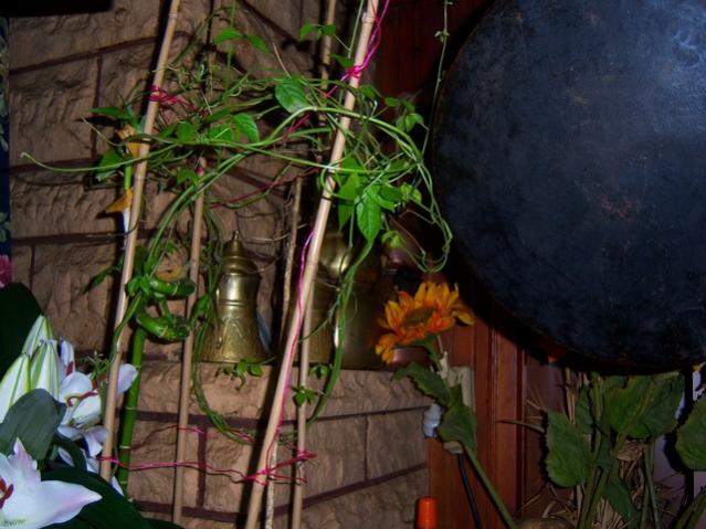 Name:  100_3858.jpg
Views: 251
Size:  51.1 KB