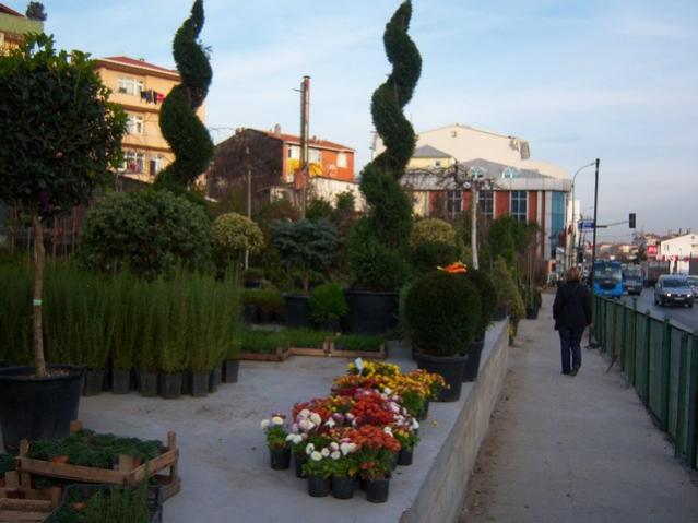 Name:  100_3883.jpg
Views: 335
Size:  41.2 KB