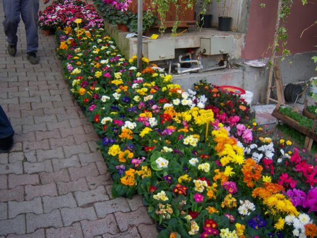 Name:  100_3888.jpg
Views: 352
Size:  68.1 KB