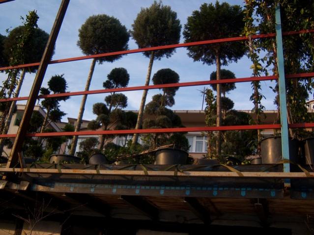 Name:  100_3916.jpg
Views: 374
Size:  54.5 KB