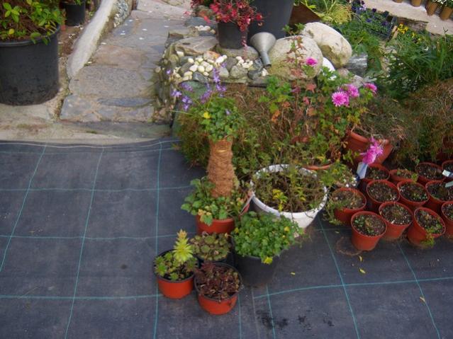 Name:  100_3917.jpg
Views: 397
Size:  55.8 KB