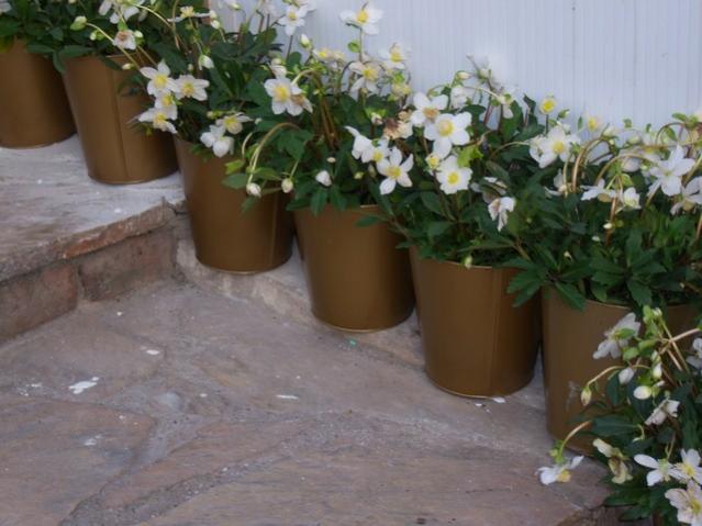 Name:  100_3927.jpg
Views: 404
Size:  42.7 KB