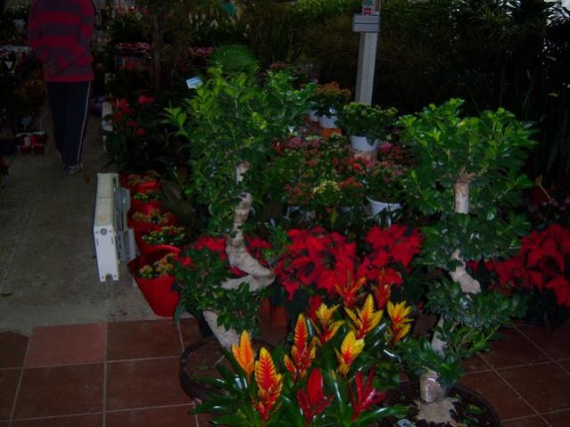 Name:  100_3936.jpg
Views: 424
Size:  47.3 KB