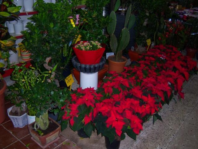 Name:  100_3937.jpg
Views: 489
Size:  52.3 KB