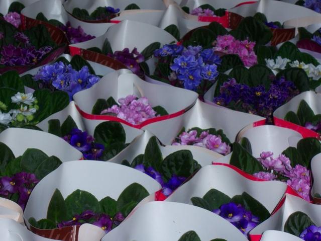 Name:  100_3941.jpg
Views: 373
Size:  47.1 KB