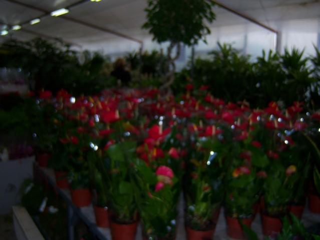 Name:  100_3949.jpg
Views: 365
Size:  29.2 KB