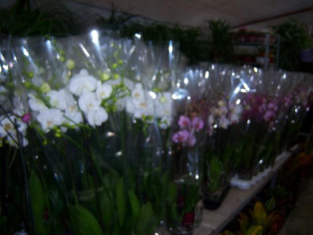 Name:  100_3951.jpg
Views: 384
Size:  30.1 KB