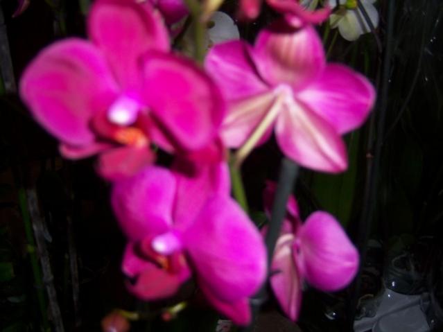 Name:  100_3952.jpg
Views: 371
Size:  27.3 KB