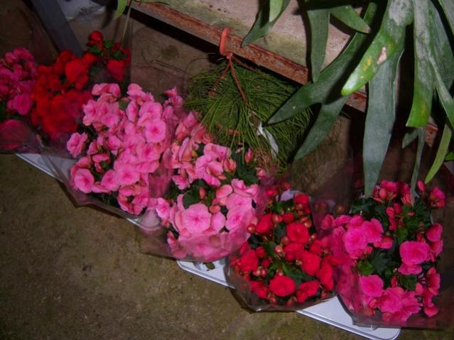 Name:  100_3957.jpg
Views: 371
Size:  51.3 KB