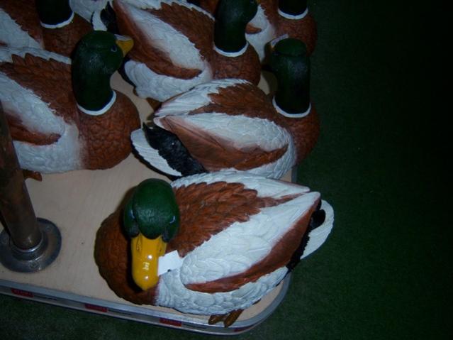 Name:  100_3972.jpg
Views: 361
Size:  36.7 KB