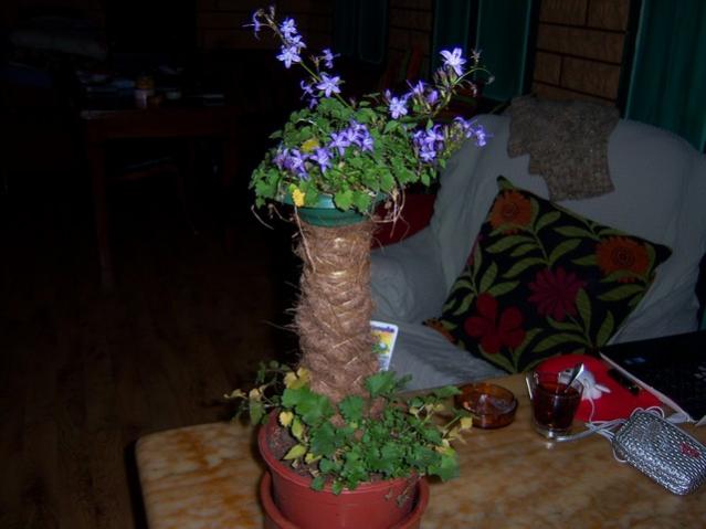 Name:  100_3973.jpg
Views: 377
Size:  35.4 KB
