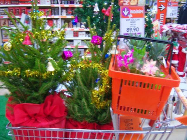 Name:  100_3978.jpg
Views: 311
Size:  62.8 KB