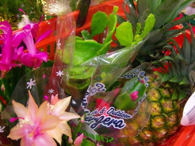 Name:  100_3979.jpg
Views: 332
Size:  55.1 KB