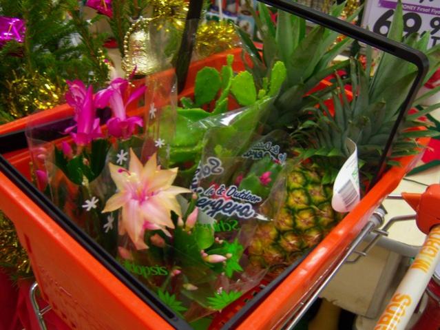 Name:  100_3980.jpg
Views: 309
Size:  57.3 KB