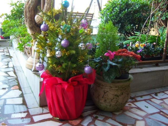 Name:  100_4007.jpg
Views: 1120
Size:  64.7 KB