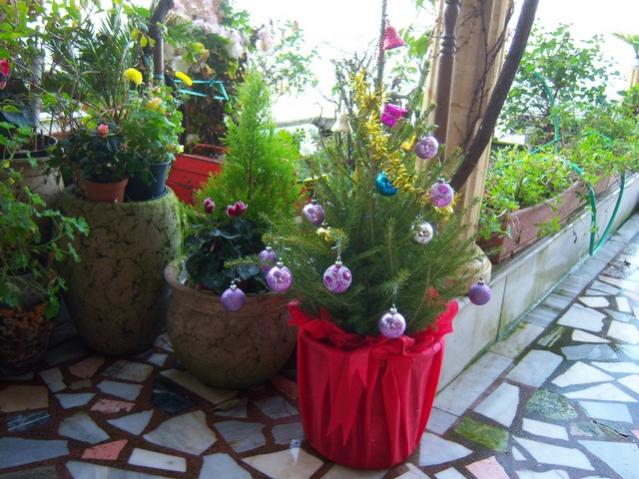 Name:  100_4008.jpg
Views: 313
Size:  62.6 KB
