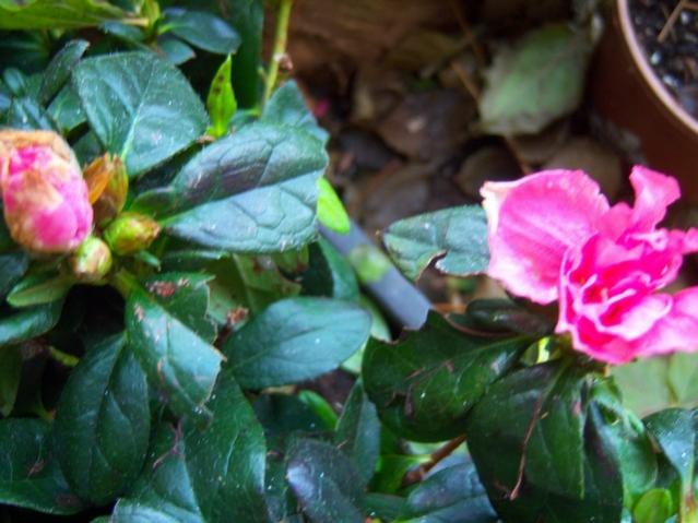 Name:  100_4016.jpg
Views: 316
Size:  45.3 KB
