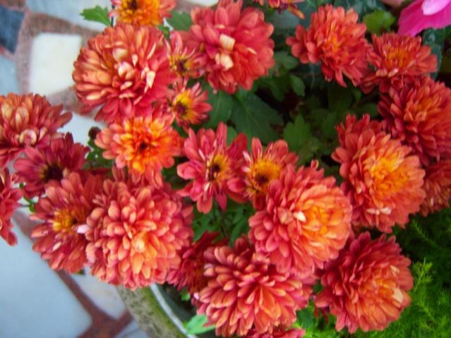 Name:  100_4022.jpg
Views: 336
Size:  54.1 KB
