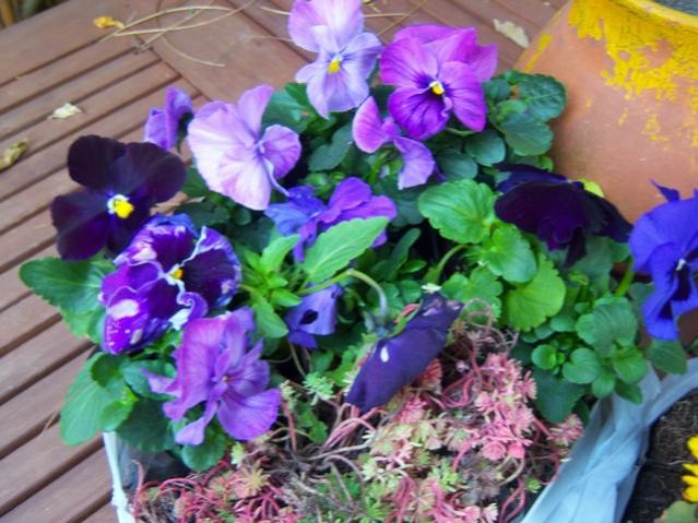 Name:  100_4032.jpg
Views: 324
Size:  57.4 KB