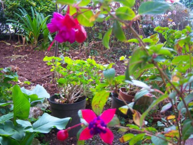 Name:  100_4036.jpg
Views: 325
Size:  68.7 KB