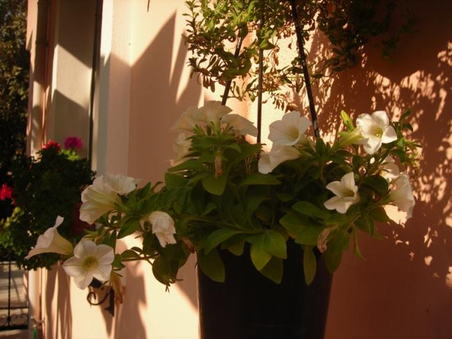 Name:  DSCN6748.jpg
Views: 633
Size:  48.3 KB