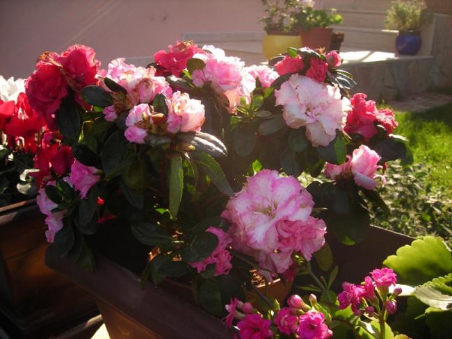 Name:  DSCN6787.jpg
Views: 639
Size:  49.5 KB