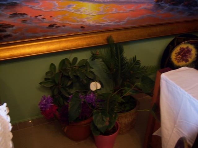 Name:  100_4061.jpg
Views: 248
Size:  31.5 KB