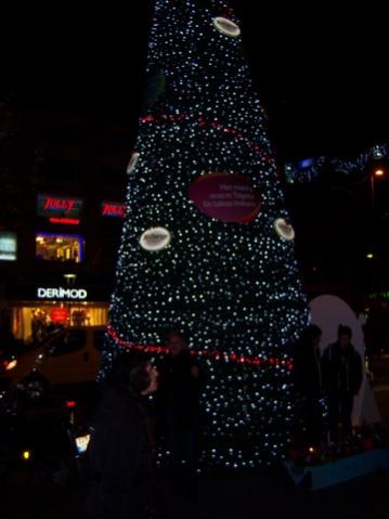 Name:  100_4068.jpg
Views: 269
Size:  22.9 KB