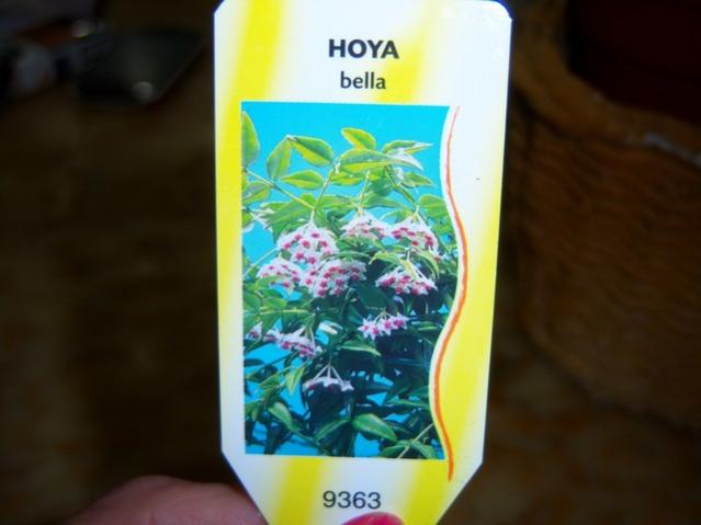 Name:  100_4077.jpg
Views: 396
Size:  29.9 KB