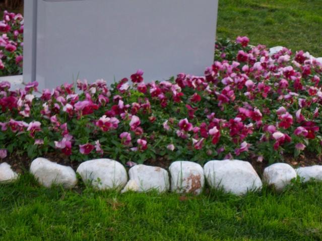 Name:  100_4089.jpg
Views: 426
Size:  53.1 KB