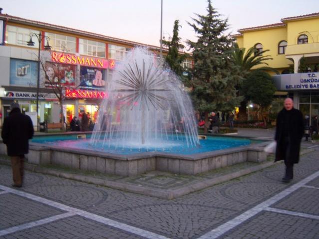 Name:  100_4091.jpg
Views: 418
Size:  47.4 KB