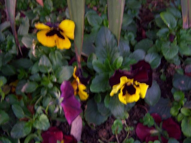 Name:  100_4094.jpg
Views: 472
Size:  39.6 KB