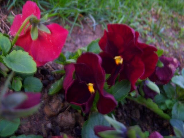 Name:  100_4096.jpg
Views: 398
Size:  34.9 KB