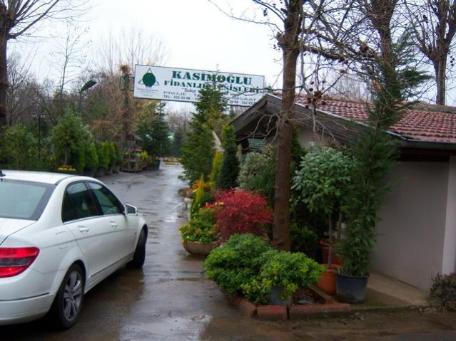 Name:  100_4114.jpg
Views: 433
Size:  57.4 KB