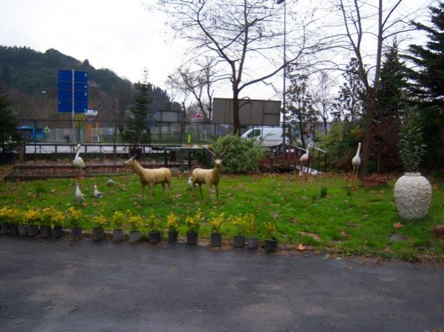 Name:  100_4119.jpg
Views: 826
Size:  54.1 KB