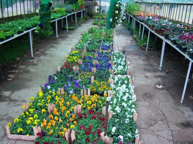 Name:  100_4126.jpg
Views: 549
Size:  72.1 KB