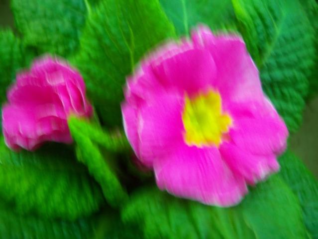 Name:  100_4150.jpg
Views: 532
Size:  31.1 KB