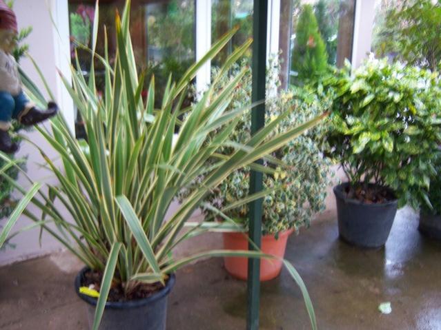 Name:  100_4156.jpg
Views: 529
Size:  56.4 KB