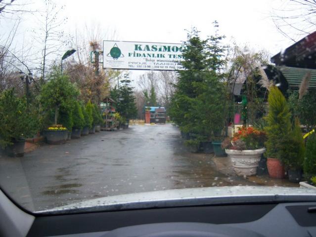 Name:  100_4158.jpg
Views: 541
Size:  46.1 KB