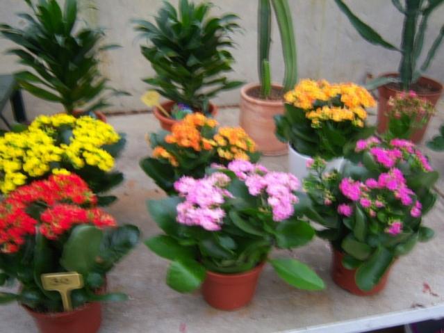 Name:  100_4163.jpg
Views: 521
Size:  45.0 KB
