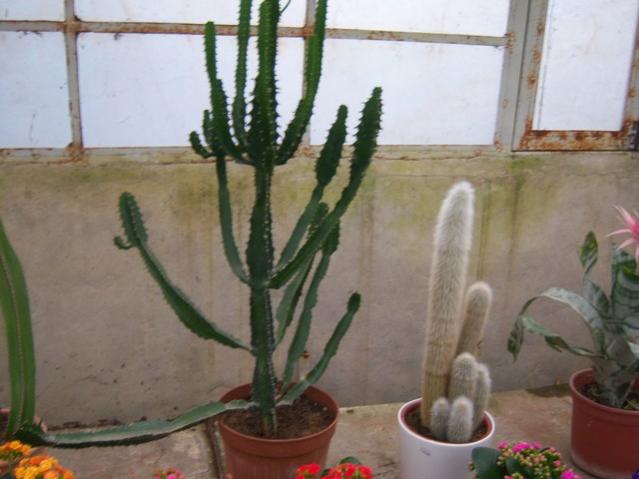 Name:  100_4165.jpg
Views: 526
Size:  38.1 KB