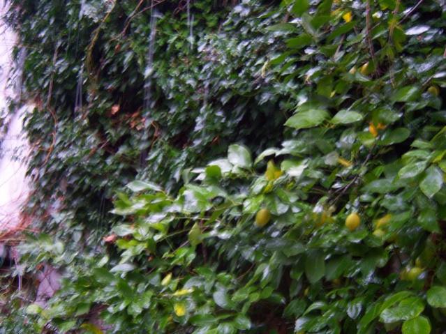 Name:  100_4172.jpg
Views: 634
Size:  66.9 KB